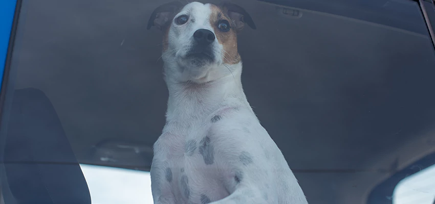 Car Lockout Solutions in Santa Paula, California